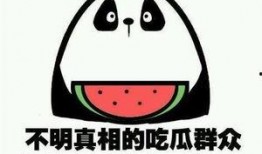 吃瓜不说话,不说话的观察者