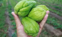 看事吃瓜,揭秘娱乐圈幕后真相