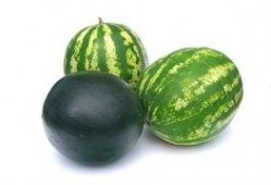 南阳本地吃瓜事件,一场引发全民热议的网络狂欢