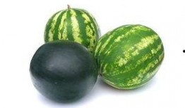 南阳本地吃瓜事件,一场引发全民热议的网络狂欢