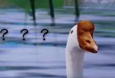 江工吃瓜,揭秘娱乐圈幕后故事