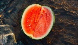 舒岚吃瓜,揭秘娱乐圈背后的那些事儿