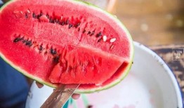 吃瓜群众八一,揭秘“吃瓜群众八一生”背后的故事与影响