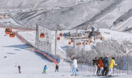 索雪场吃瓜,一场吃瓜盛宴背后的故事