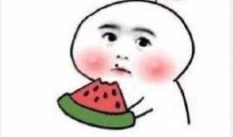 吃瓜群众周雪儿,揭秘娱乐圈幕后风云