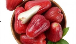 莲雾吃瓜短视频,趣味横生的短视频盛宴