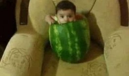 吃瓜不说话,不说话的观察者