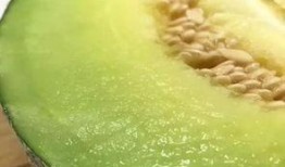 吃瓜佛山,探寻这座美食天堂的独特风味