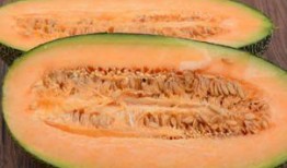 减肥合适吃哈密瓜,美味与健康的完美结合