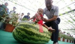 吃瓜中心今日大瓜视频,今日大瓜视频幕后真相大曝光！