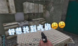csgo茄子吃瓜群众,吃瓜群众眼中的电竞明星