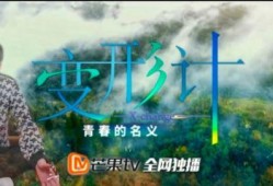 卜凡妈妈吃瓜视频,揭秘娱乐圈幕后故事