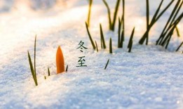 冬至吃土瓜文案,土瓜美食，暖意盈怀的冬日佳肴
