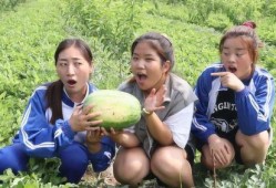 姐妹吃瓜吗,一起来吃瓜吧！揭秘娱乐圈最新热点事件