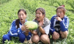 姐妹吃瓜吗,一起来吃瓜吧！揭秘娱乐圈最新热点事件