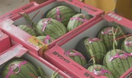 福彩最新吃瓜,揭秘彩票背后的惊人内幕