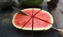 吃瓜成精,揭秘网络时代下的“瓜民”现象