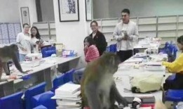 财贸女生宿舍吃瓜,一场别开生面的吃瓜盛宴