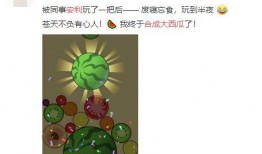 吃瓜基础知识大全,吃瓜基础知识大全解析