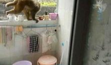 财贸女生宿舍吃瓜,一场别开生面的吃瓜盛宴