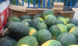 开始吃瓜了吗,从“开始吃瓜了吗”看明星幕后故事