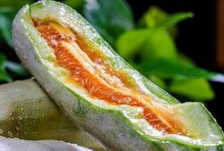 吃大瓜山东,探寻吃大瓜的独特风味