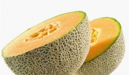 济南新鲜哈密瓜推荐吃,哈密瓜美味推荐，尽享清凉甜蜜时光