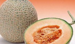 拉稀吃哈密瓜吗,哈密瓜是解药还是禁忌？揭秘水果与腹泻的关系