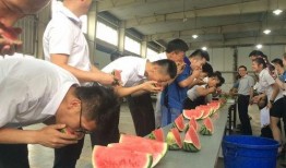 《吃瓜群众》比赛,一场全民参与的趣味盛宴