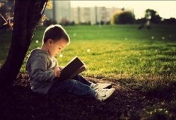 吃瓜界内佳话,那些年我们一起吃过的瓜