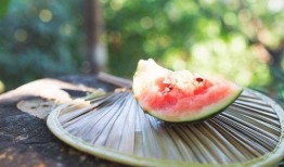 昨日吃瓜,揭秘娱乐圈幕后风云