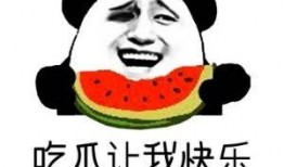 吃瓜观众甚感欣慰,精彩瞬间盘点