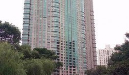 世茂滨江一期 吃瓜,揭秘网红小区的“吃瓜”故事