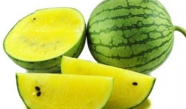 吃瓜头条 高尔夫图片,高尔夫球场上的精彩瞬间