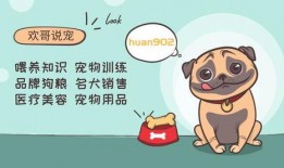 欢哥带你吃瓜,尽享味蕾盛宴