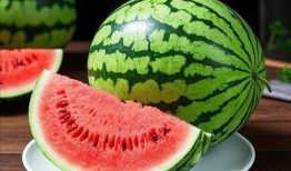 大瓜梗怎么吃,解锁美味新境界