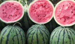 吃瓜党必看辨别方法,辨别真相的独家秘籍