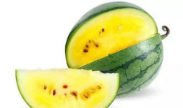 网上吃内脏瓜好吗,健康饮食的真相揭晓