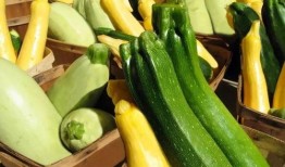 各院校吃瓜,揭秘各院校的“吃瓜”盛事