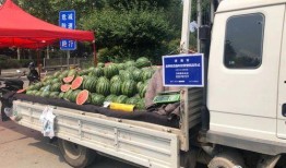 济南最新吃瓜新闻,网红打卡地引全民热议！