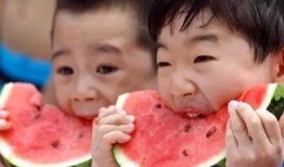 吃瓜水枪,揭秘吃瓜水枪的趣味与魅力