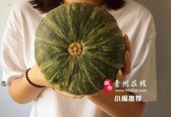 宁夏石缝瓜怎么吃,解锁美味新体验