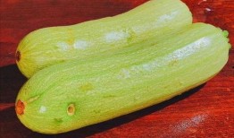 瓜虫怎么吃,解锁独特口感与营养的烹饪新境界