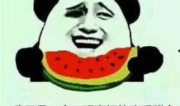 吃瓜群众有多能吃瓜,揭秘瓜界“吃货”的狂热与智慧