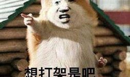 吃瓜别人吵架说说,揭秘吃瓜群众眼中的吵架风云