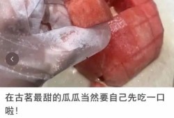 coco被吃瓜,一场网络狂欢背后的真相揭秘