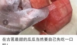 coco被吃瓜,一场网络狂欢背后的真相揭秘