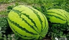 吃瓜陈小生,揭秘娱乐圈背后的故事