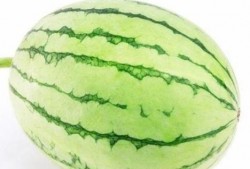 户外吃瓜,共享瓜果时光