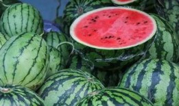 沙集吃瓜比赛,一场夏日里的欢乐盛宴